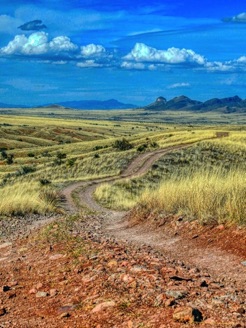 Meeting - Joyce - Trail.jpg
